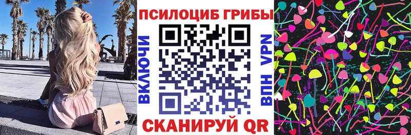 Купить  Кинешма  Псилоцибиновые грибы ЛСД 