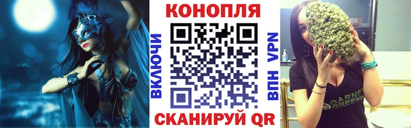 Купить  Кинешма  Канабис конопля 